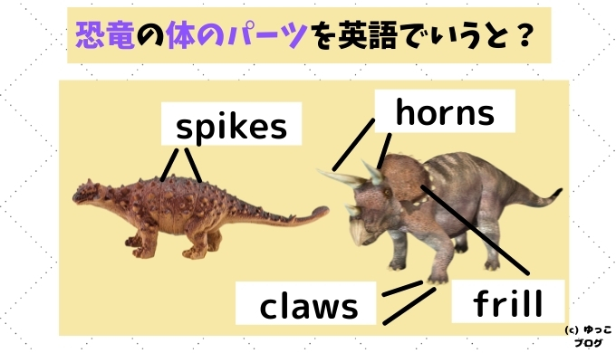 恐竜のツノ・ツメは英語で？